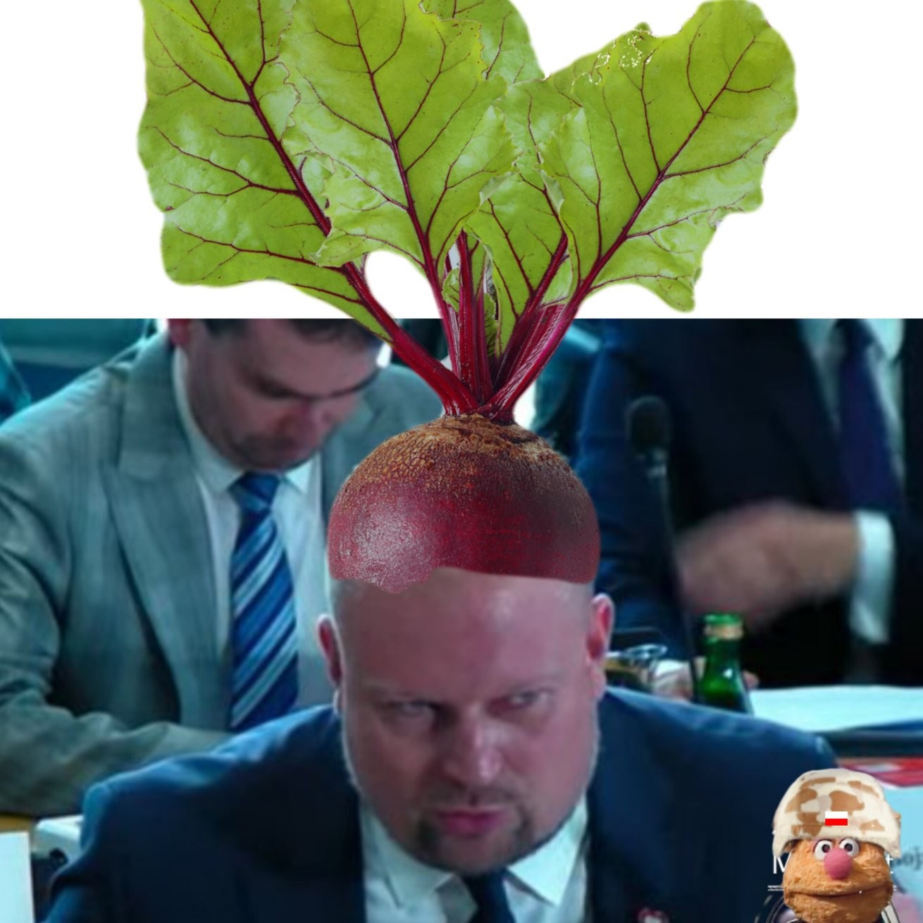 Obrazek