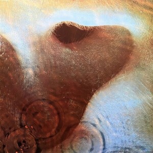 [Obrazek: m70s73.jpg]