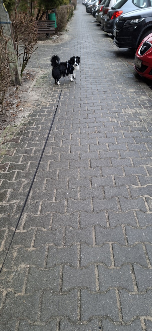 Obrazek dodany przez użytkowniczkę