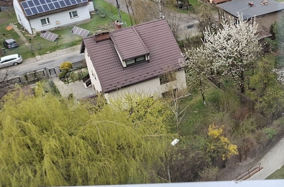 Obrazek dodany przez użytkowniczkę