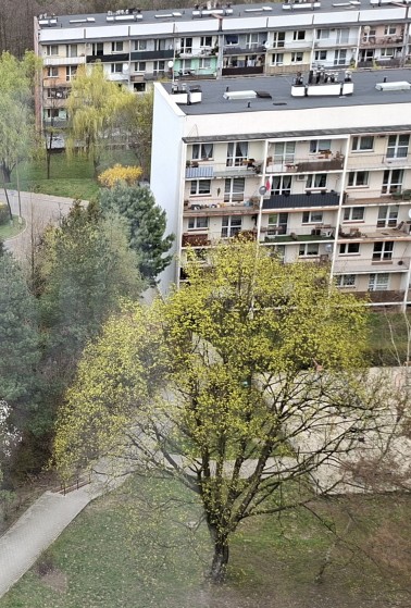 Obrazek dodany przez użytkowniczkę