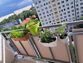 https://www.pomniejszacz.pl/files/6180fdba-4aa5-49af-bd0d-fb297b_3.jpg