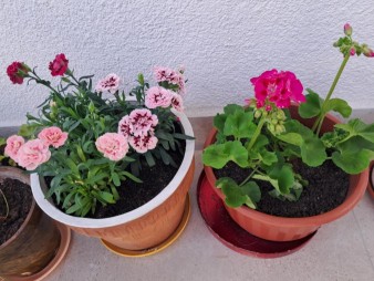 https://www.pomniejszacz.pl/files/7894d601-6f5b-4616-ac13-2d4c07_3.jpg